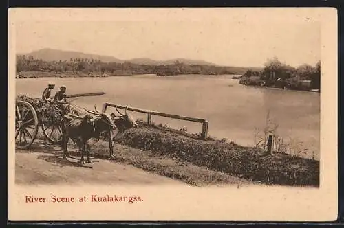 AK Kualakangsa, River Scene, Rindergespann