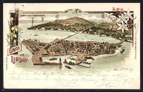 Lithographie Lindau / Bodensee, Inselpanorama aus der Vogelschau