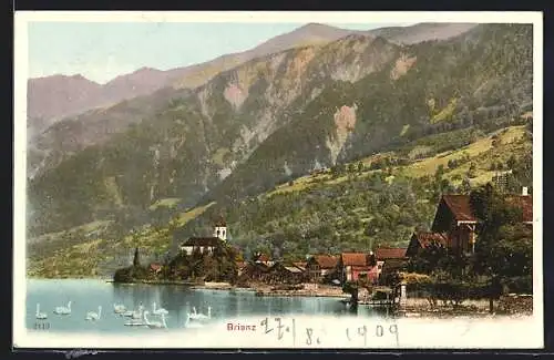 AK Brienz, Partie am See mit Schwänen, Blick auf die Berge
