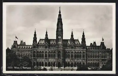 AK Wien, Rathaus