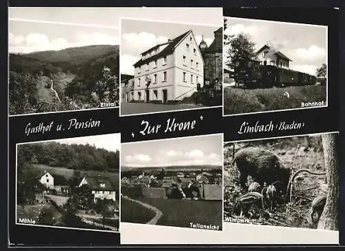 AK Limbach / Baden, Gasthaus & Pension Zur Krone, Mühle, Wildpark