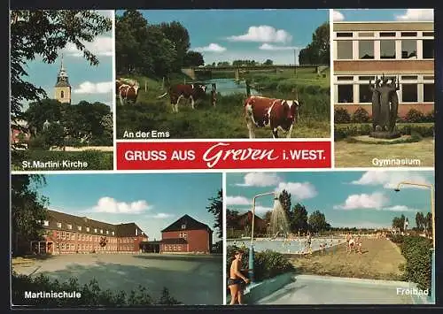 AK Greven / Ems, St. Martini-Kirche, Gymnasium, Martinischule, Freibad