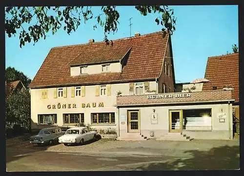 AK Fahrenbach / Baden, Gasthaus und Pension Zum Grünen Baum