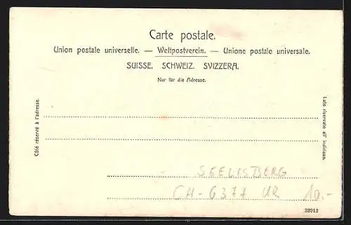 AK Vierwaldstättersee, Gasthaus das Rütli und Dampfschiff