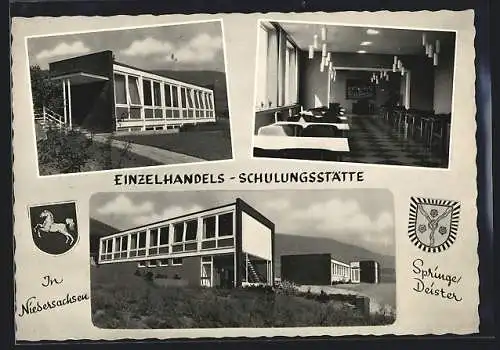 AK Springe /Diester, Einzelhandels-Schulungsstätte, Innenansicht, Ortspartie