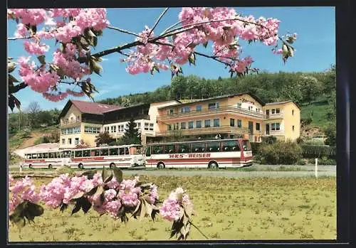 AK Reichelsheim / Odw., Blick auf das Gasthaus, Café und Pension Zum Hohenstein