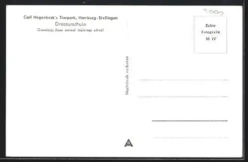 AK Hamburg-Stellingen, Hagenbecks Tierpark, Dressurschule