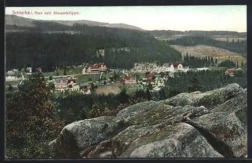 AK Schierke /Harz, Sicht von der Mauseklippe