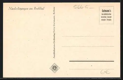AK Niederlützingen /Brohltal, Totalansicht mit Umgebung