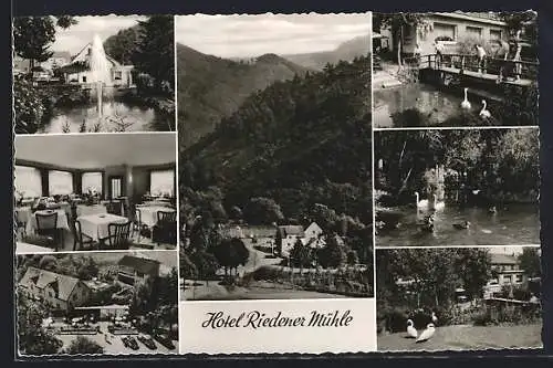 AK Mayen /Eifel, Eifelhotel Riedener-Mühle, Innenansicht, Fontäne