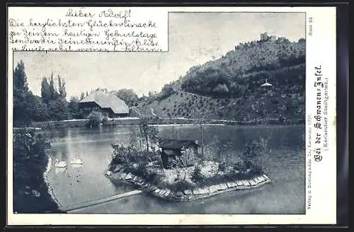 AK Karlsruhe, Schwanen-Insel im Karlsruher Stadtgarten