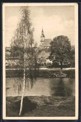 AK Rochlitz a. d. Mulde, Kunigundenkirche im Ortsbild