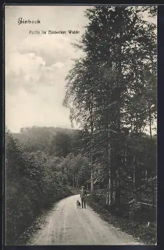 AK Einbeck, Weg im Einbecker Wald, Herr mit Hund