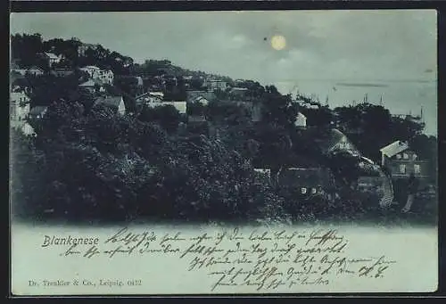 Mondschein-AK Hamburg-Blankenese, Ortsansicht mit Elbe