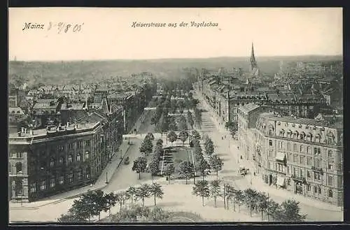 AK Mainz, Kaiserstrasse mit Bäumen aus der Vogelschau