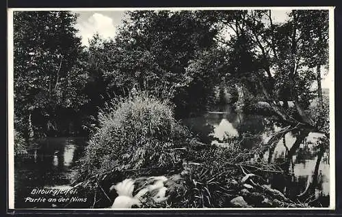 AK Bitburg / Eifel, Partie an der Nims
