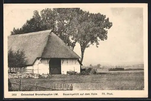 AK Brunshaupten i. M., Ostseebad, Bauerngehöft auf dem Holm