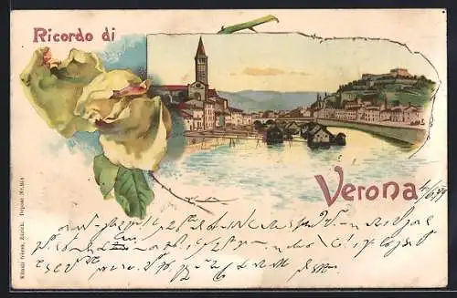Lithographie Verona, Teilansicht, Rose