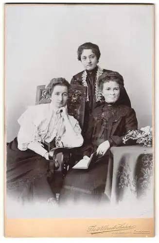 Fotografie Th. Alfred Hahn, Chemnitz, Brückenstrasse 5, Drei elegante Damen zur Seite gelehnt