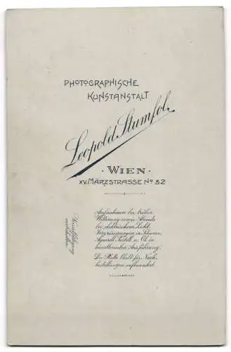 Fotografie Leopold Stumfol, Wien, Märzstr. 32, Eleganter Herr mit Schnauzbart