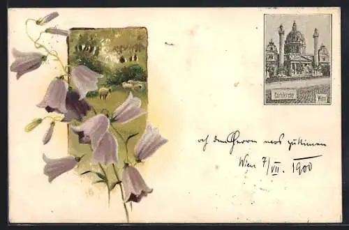 Lithographie Wien, Carlskirche, Schafherde mit Glockenblume