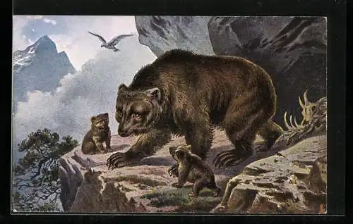 Künstler-AK Friedrich Perlberg: Braunbär-Mutter mit Jungtieren