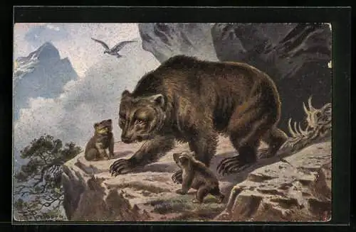 Künstler-AK Friedrich Perlberg: Braunbär-Mutter mit Jungtieren