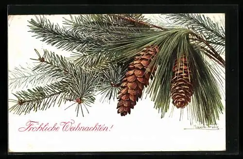 Künstler-AK Maxim Trübe: Tannenzweig mit Weihnachtsgruss