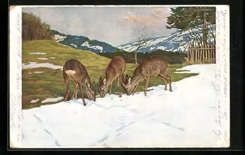 Künstler-AK Eugen Ludwig Hoess: Das erste Grün am Schneerand mit äsenden Rehen