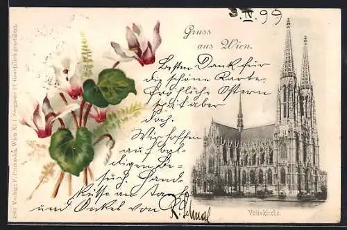 AK Wien, Votivkirche im Alpenveilchen-Passepartout