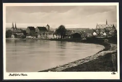 AK Hassfurt a. Main, Ortspanorama, vom Wasser gesehen