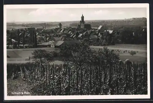 AK Volkach a. Main, Teilansicht mit Kirche