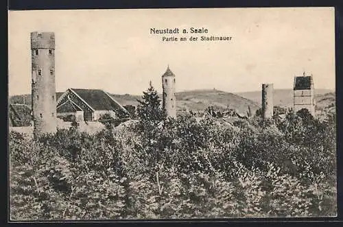 AK Neustadt a. Saale, Partie an der Stadtmauer