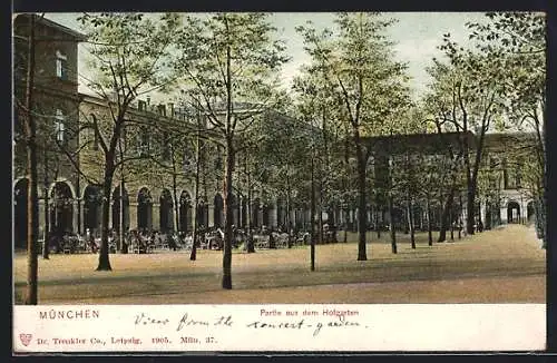 AK München, Partie aus dem Hofgarten