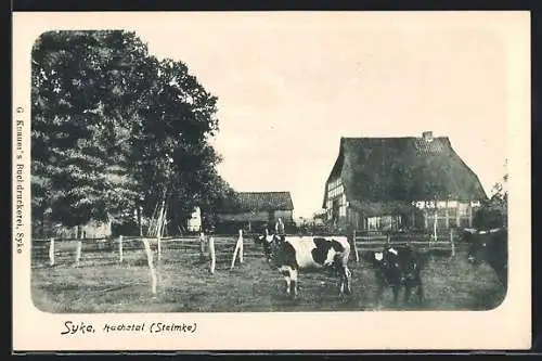 AK Syke /Hachetal, Hof mit Kuhherde