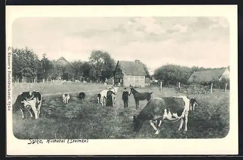 AK Syke /Hachetal, Hof mit Kuhherde und Pferden