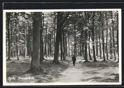 AK Syke, Wanderweg im Friedeholz