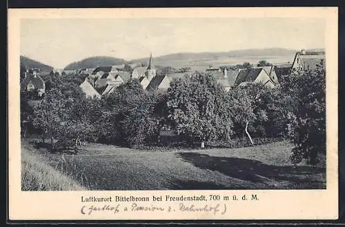 AK Bittelbronn / Schwarzwald, Teilansicht mit Kirche