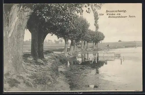 AK Braunschweig, Alte Weiden am Riddagshäuser Teich