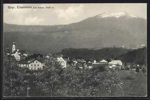 AK Bayr. Eisenstein, Ortsansicht mit Arber