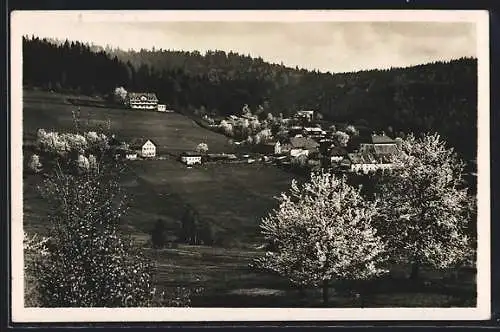 AK Rabenstein bei Zwiesel, Ortsansicht zur Zeit der Kirschblüte