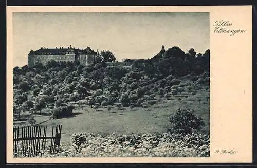 AK Ellwangen, Blick auf das Schloss