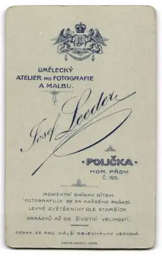 Fotografie Josef Leeder, Policka, Hor. Prdm. C. 165, Junger Mann im Anzug mit Krawatte