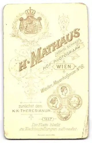 Fotografie H. Mathaus, Wien-Wieden, Mayerhofgasse 8, Junge Dame mit Hochsteckfrisur