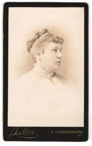 Fotografie J. Löwy, Wien, Weihburggasse 31, Bürgerliche Dame mit Hochsteckfrisur