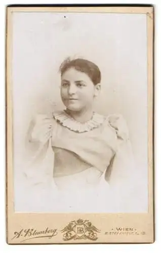 Fotografie A. Blumberg, Wien, Stefaniestr. 7, Junge Dame mit zurückgebundenem Haar