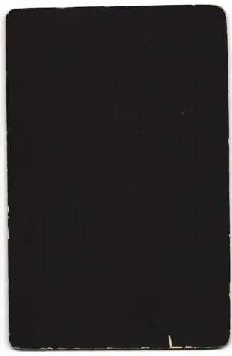 Fotografie Hans Torgau, Schwerin i. M., Arsenalstr. 4, Dame in tailliertem Kleid mit Fächer in der Hand