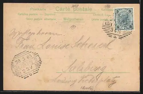 Lithographie Wien, Karlskirche und Polytechnikum