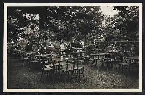 AK Wien, Dalmatia Weinhaus, Wienzeile 27