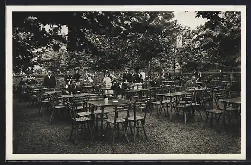 AK Wien, Dalmatia Weinhaus, Wienzeile 27